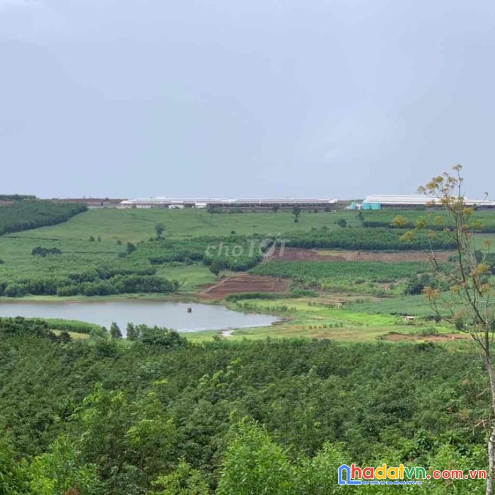 Cho thuê 4ha đất nông nghiệp xã sơn định, huyện sơn hòa, phú yên