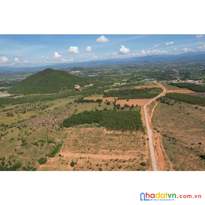 Phan thiết trờ thành trung tâm tứ giác vàng du lịch biển