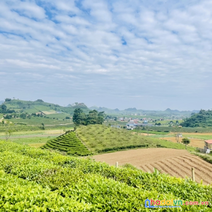 Đất nền mộc châu giá rẻ bán mảnh đất thuộc chiềng đi ttnt mộc châu - diện tích tổng gộp 3,400m
