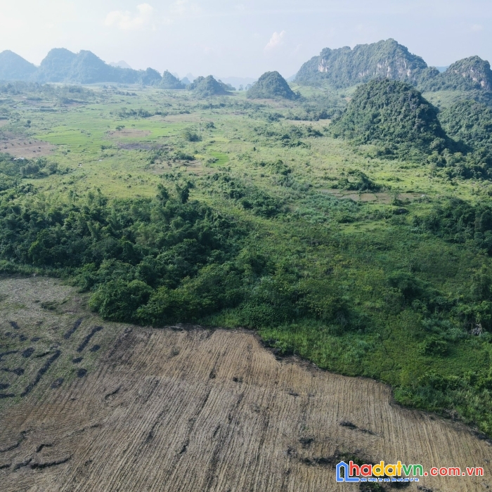 Chính chủ bán 1,9 ha thung rếch, tú sơn, kim bôi , hòa bình