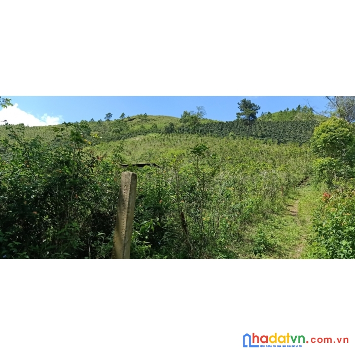 Cần tiền bán gấp lô đất rộng view đẹp gần khu vạn xuân, lạc dương 4000m2