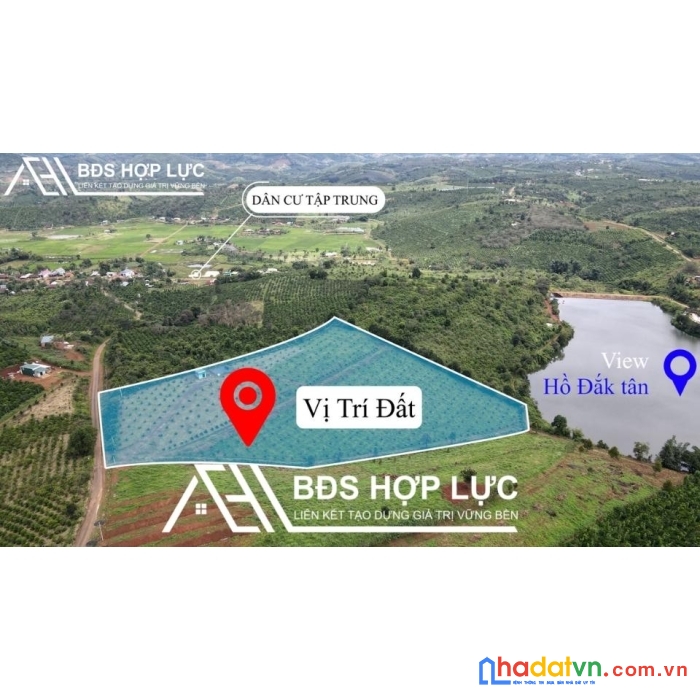 Mặt tiền đường nhựa rẫy full sầu riêng và view hồ tự nhiên