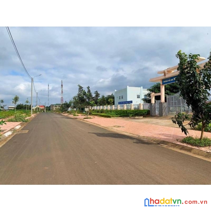 Cần tiền bán gấp 2.000m2 đất, sát chợ, thổ cư, sổ hồng riêng, giá 650 triệu.