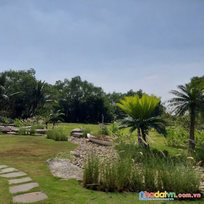 Cao tuổi . cần bán lại vườn xoài đã cho trái sát hồ trị an. liên hệ : 0969. 622.454