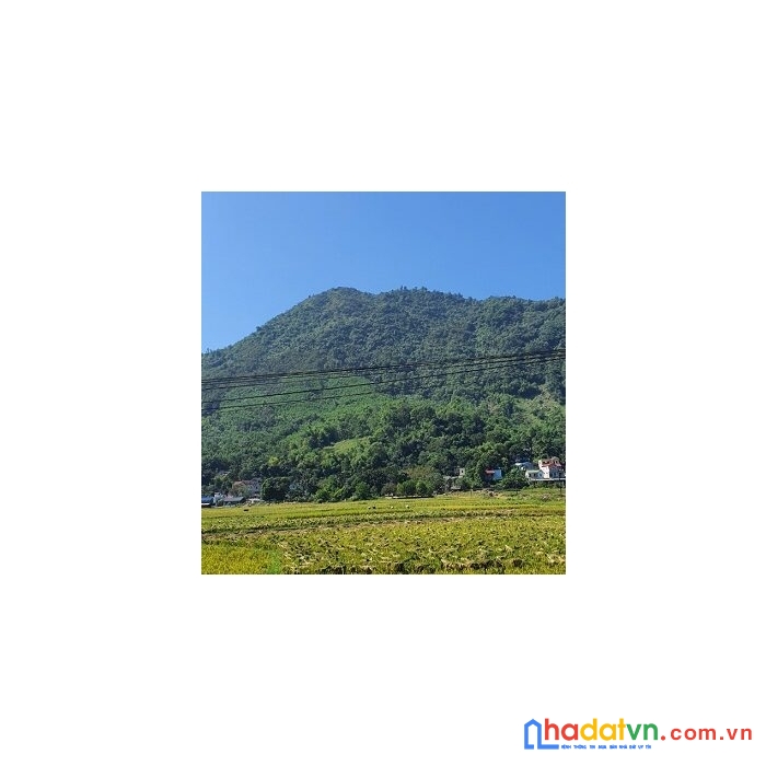 Cần tiền đầu tư chính chủ bán gấp lô tiềm năng cao phong, tỉnh hoà bình
