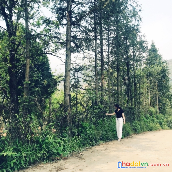 Đất nền sapa khai thác dịch vụ du lịch 4 mùa giá rẻ