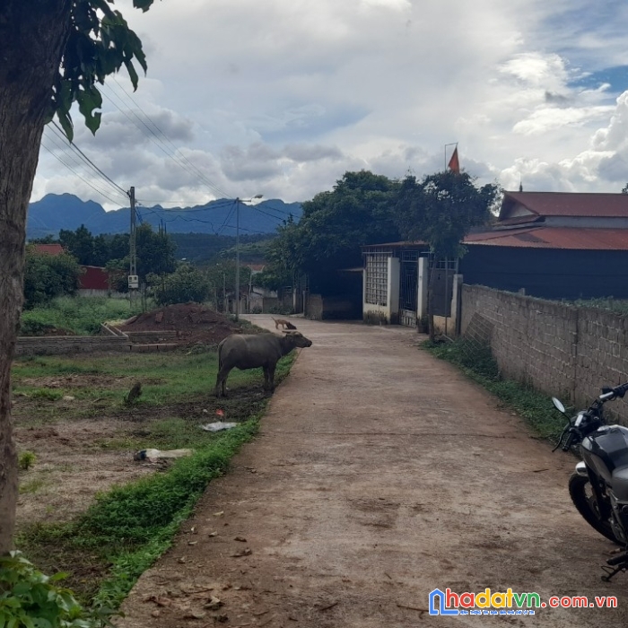 Bán đất mộc châu gía rẻ, đầu tư sinh lời, kinh doanh