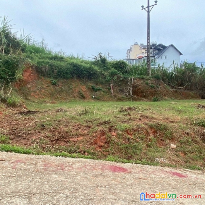 Cơ hội sở hữu đất xây dựng p8, đà lạt giá chỉ với 2.7 tỷ