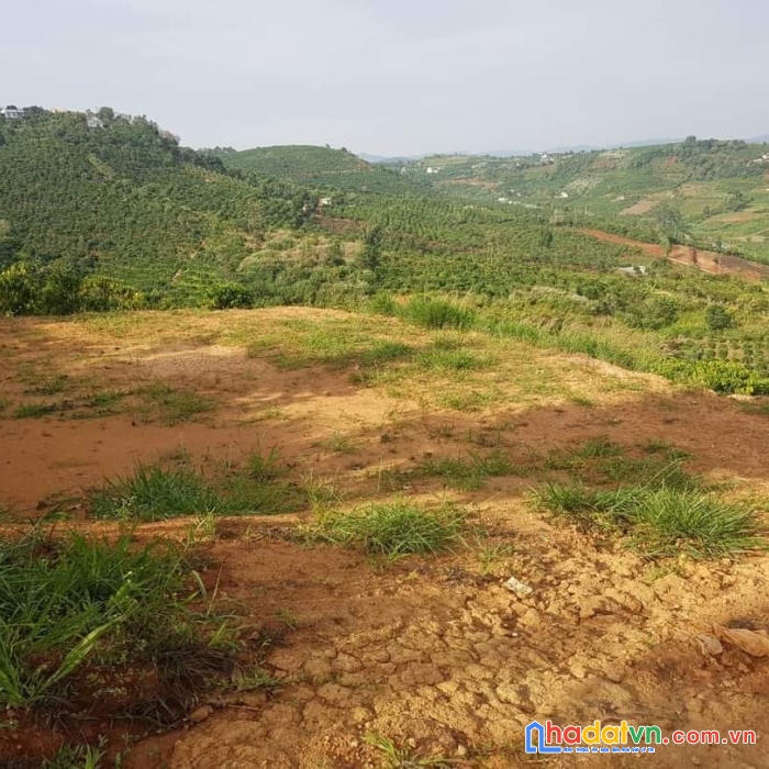 Bán gấp 1.1 ha đất view đẹp tại nam hà, nam ban, lâm hà