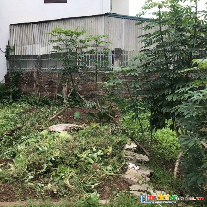 Cần bán 42.7m2 xóm 4 hải bối, đông anh, hà nội, cách trục chính 30m