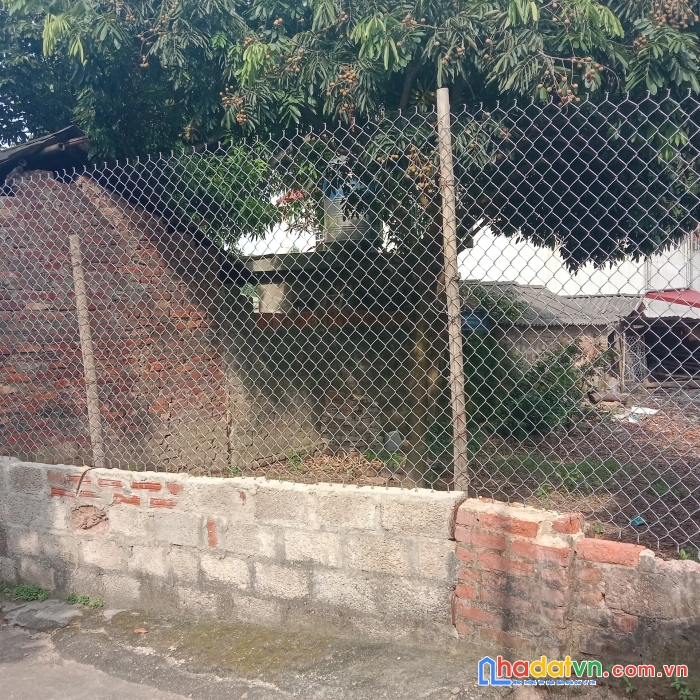 Bán mảnh 100m2 đất giá rẻ tại nam cương, hiền ninh, sóc sơn