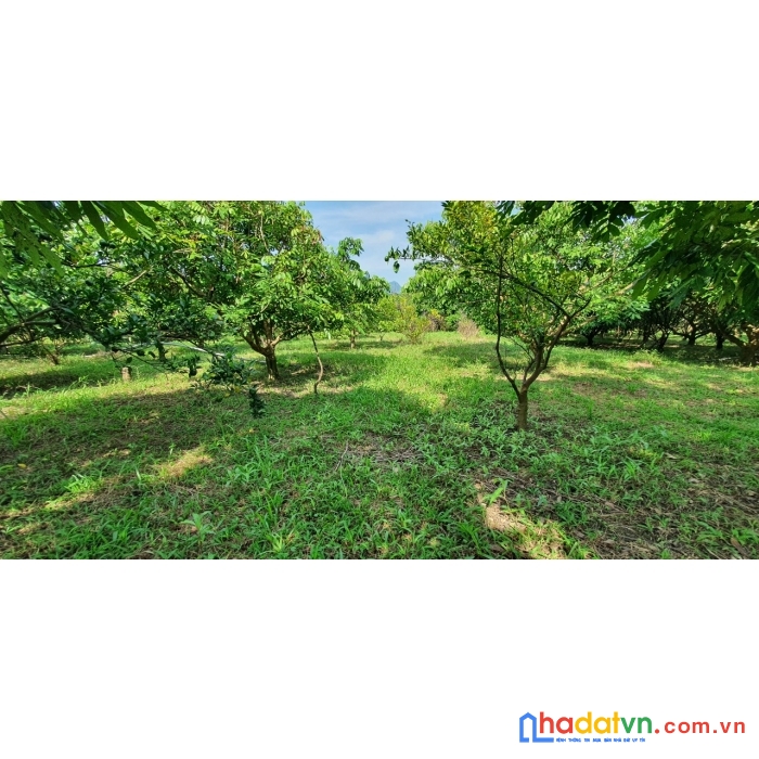 Cần bán  lô đất tại xã thu phong, huyện cao phong, hòa bình