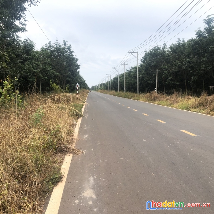 Hott! đất mặt tiền đường liên tỉnh dt 756. chỉ 3 triệu /m2