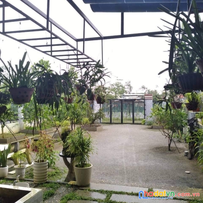 Biệt thự sân vườn 400m2 hòa khương, hòa vang, đà nẵng