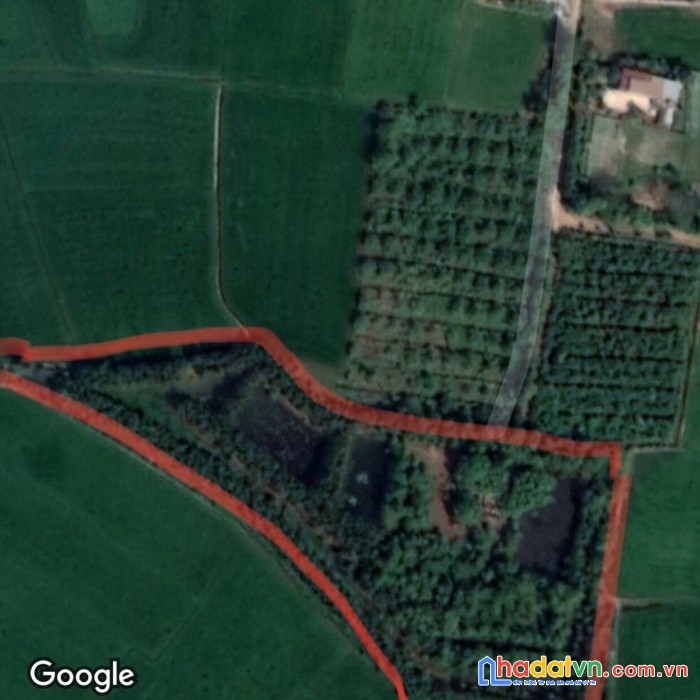 Chính chủ cần bán đất vị trí đẹp tại : khu đất ở ấp mỹ lợi , xã mỹ thạnh tây , huyện đức huệ ,