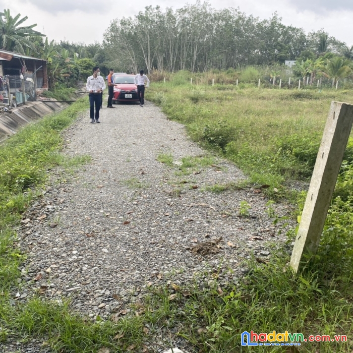 Đất đẹp giá rẻ bắt ngờ chỉ 455tr tại gò dầu