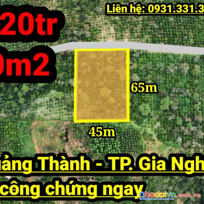 [ chỉ với 520tr ] sở hữu 3000m2 đất thành phố gia nghĩa