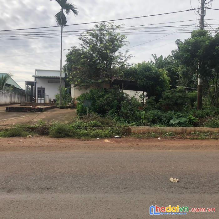 Chính chủ cần bán nhà mặt tiền ql19 huyện mang yang giá đầu tư.