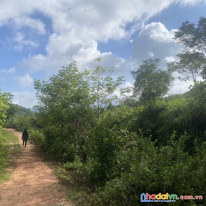 Đất nền mộc châu khai thác du lịch 4 mùa giá rẻ