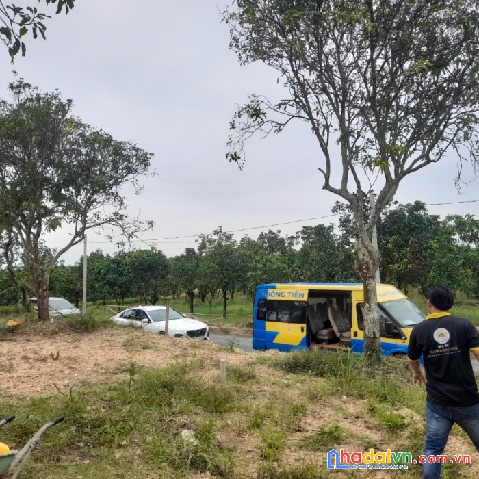 Chính chủ . bán miếng vườn xoài 2000m2 giá 900tr.  liên hệ trực tiếp 0919.79.80.95