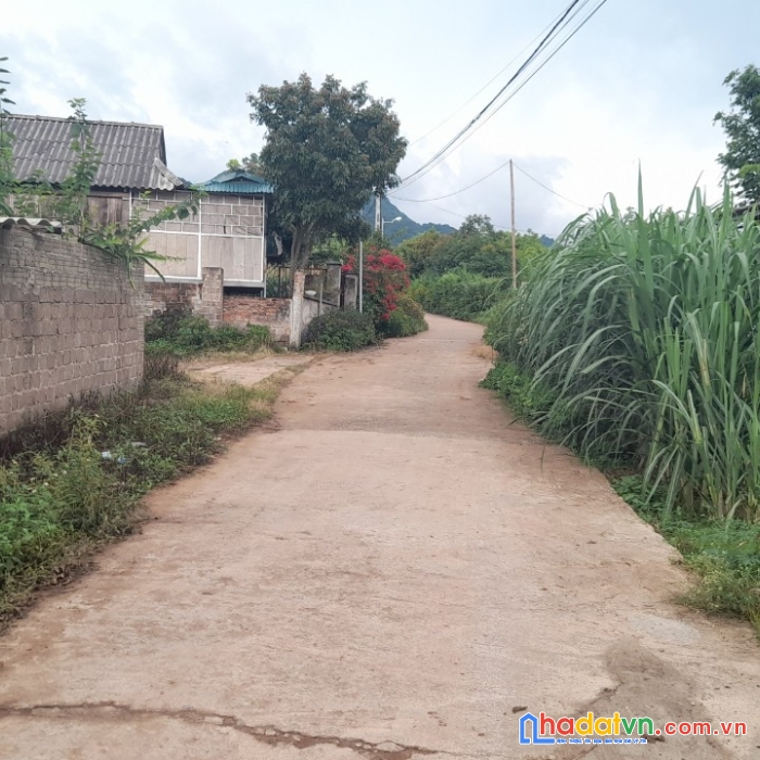 Bán đất mộc châu gía rẻ, thích hợp đầu tư sinh lời, kinh doanh