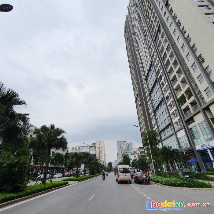 Siêu hiếm biệt thự song lập mỹ đình - cần bán gấp giá 16,15 tỷ