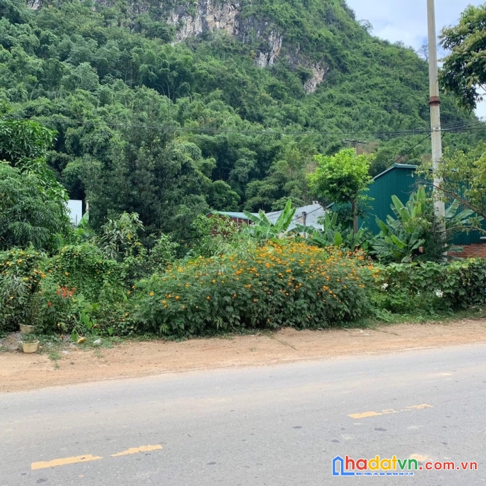 Chính chủ  cần chuyển nhượng ao vườn mặt đường đi mường la