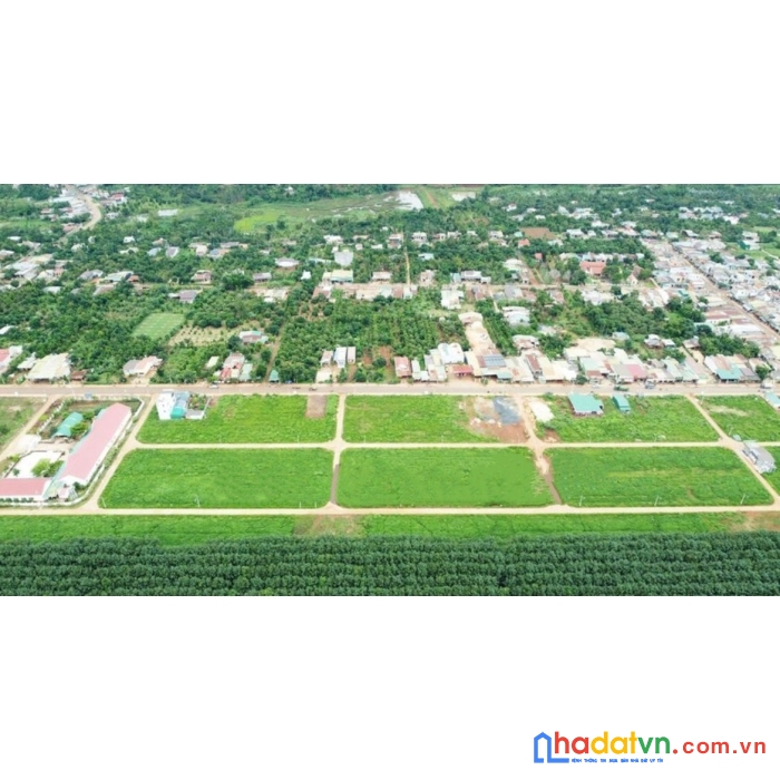 Khu đất đấu giá nhà nước. xã phú lộc huyện krong năng, tỉnh đăk lăk