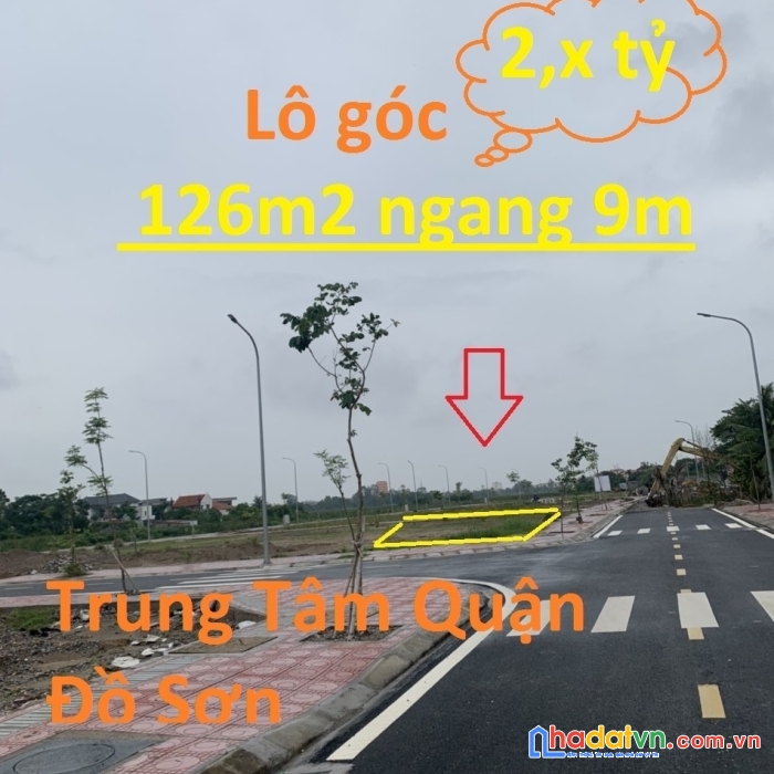 Đấu giá suối rồng vạn hương, đồ sơn , hải phòng hơn 10tr