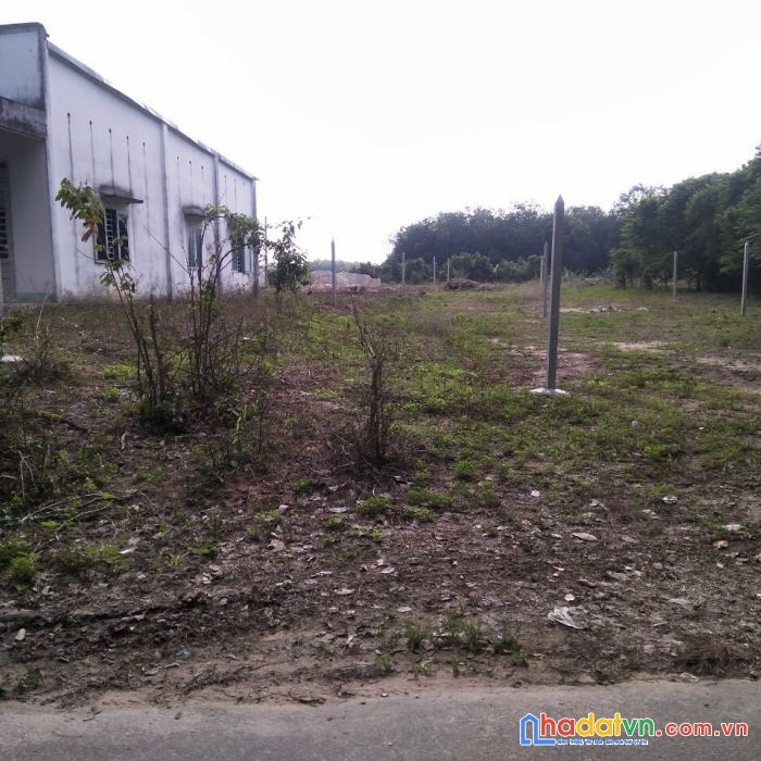 Bán đất an nhơn tây, củ chi, 206m2 giá 2.07 tỷ còn thương lượng.