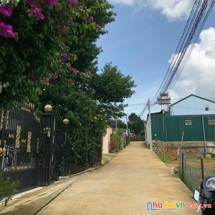 Cần bán gấp lô đất biệt lập xây biệt thự ở cao thắng, phường 7, tp. đà lạt, giá 11,5 tỷ
