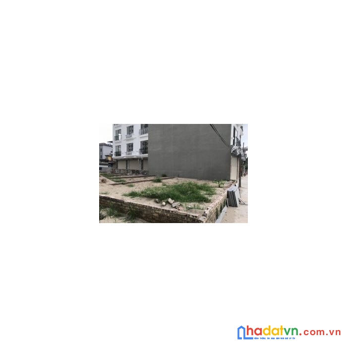 Bán đất mặt tiền 6.2m lô góc ngõ 279 phúc lợi long biên 51m2 hơn 4tỷ