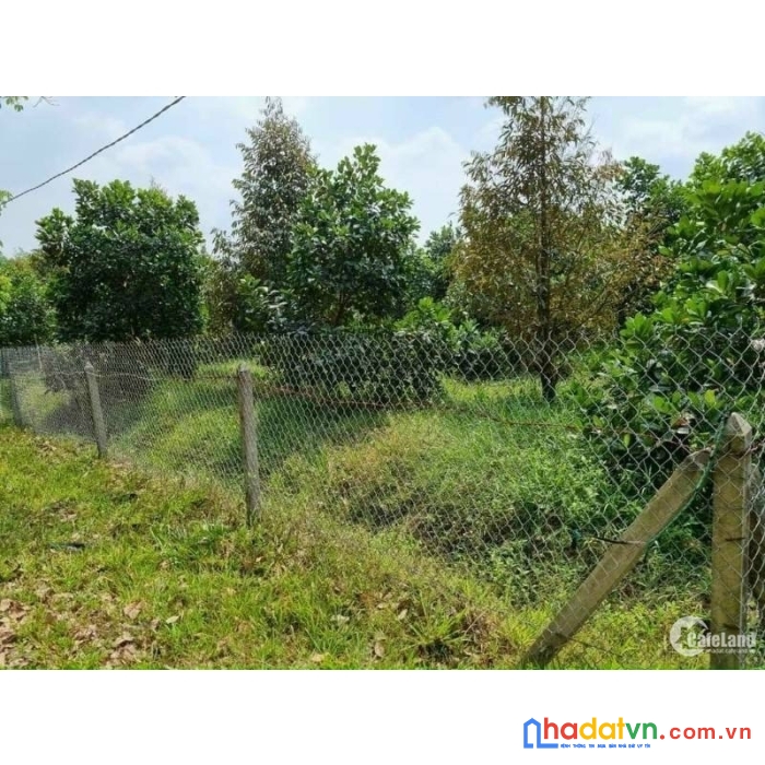 Cần bán miếng vườn 3600m2 ,giá 600tr đã.đăng ký.lên thổ cư 300m2