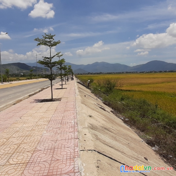 Cần bán 3 lô lúa mặt đường d6, diên lạc, diên khánh, khánh hòa