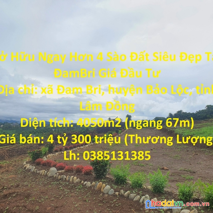 Sở hữu ngay hơn 4 sào đất siêu đẹp tại đambri giá đầu tư
