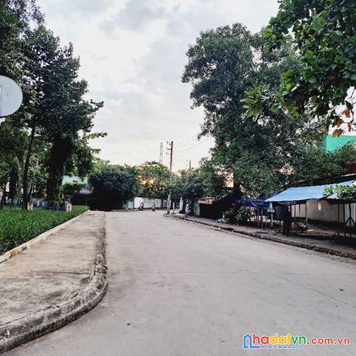 Bán nhà cấp 4 diện tích khủng đường quốc lộ 1a, p. tân tạo, q. bình tân