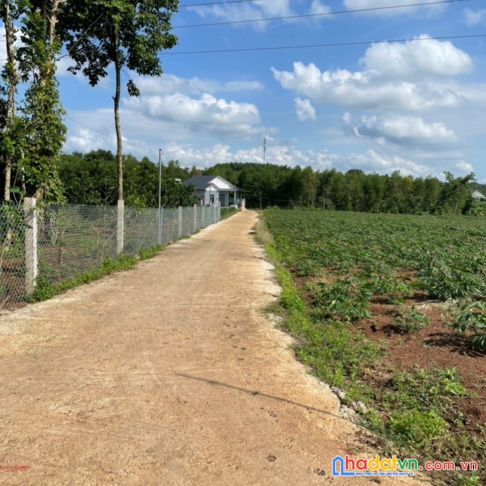 Sở hữu ngay lô đất đẹp vị trí đắc địa tại xã bàu cạn, huyện long thành, đồng nai