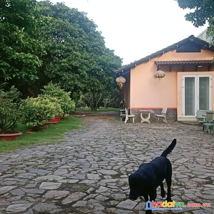 Biệt thự siêu đẹp - mặt tiền long phước - 2122m  - ngang 35m - giá chỉ 77 tỷ