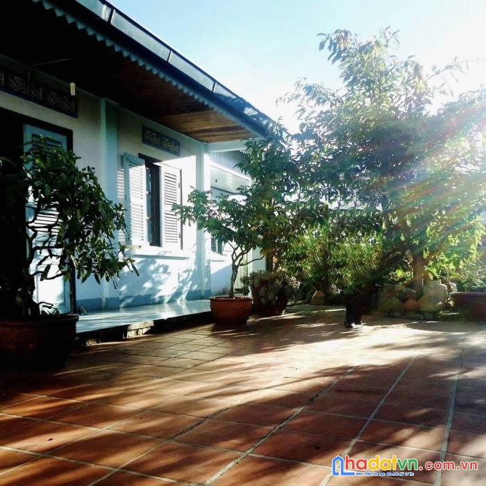 Bán 500m2 đất xấy dựng hẻm hùng vương cách đường chính nguyễn du 100m