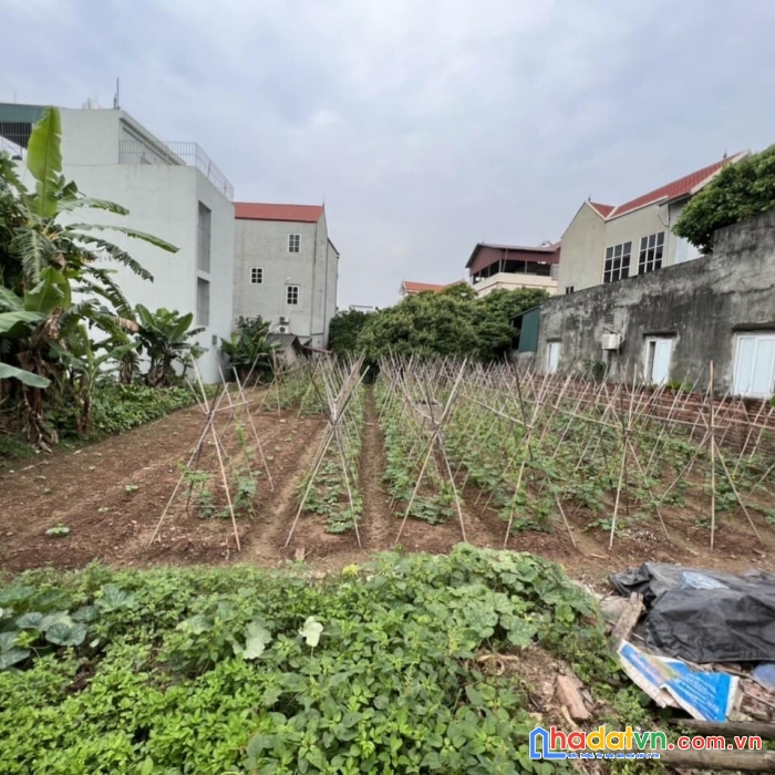 Cực hot ! bán đất vân côn, hoài đức 425m 14,x tỷ