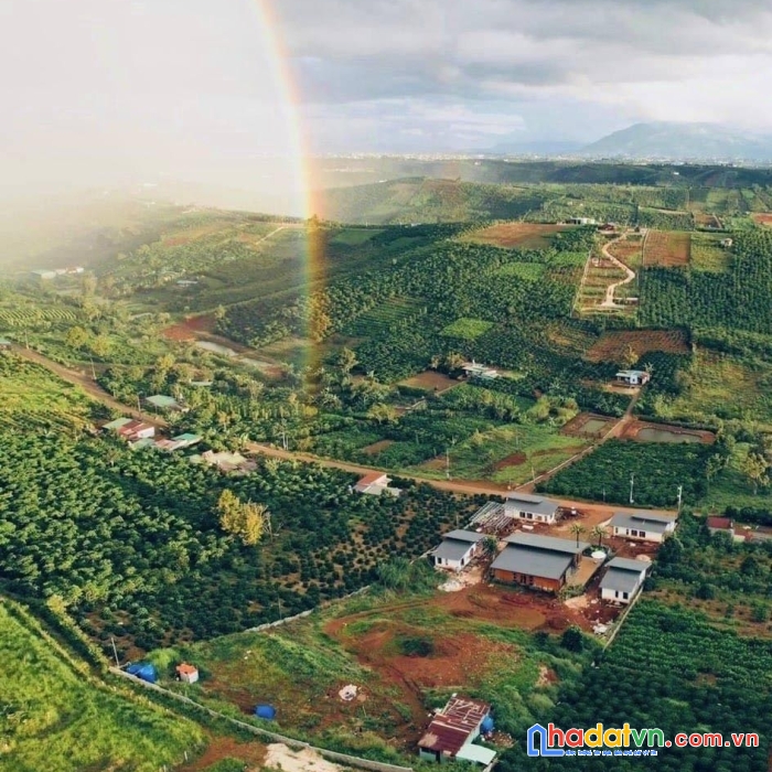 Bán đất nền thổ cư giá chỉ 1 tỷ ngay trung tâm tp bảo lộc