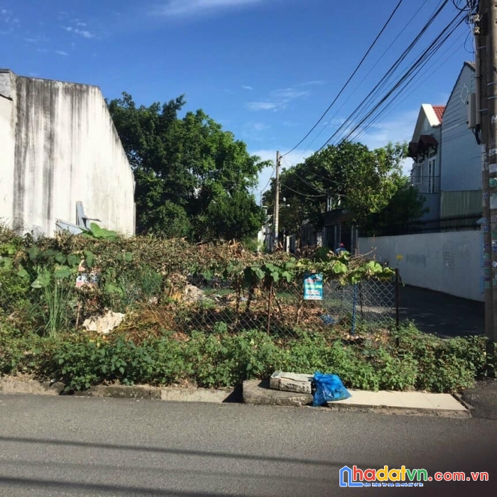 Bán đất kiêu kỵ 80m2 xuân thụy, đường nhựa 3m, mtien 5.17m nở hậu đẹp.0982852808