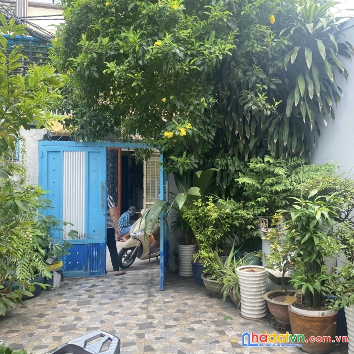 Bình thạnh, hxh hoàng hoa thám, diện tích lớn, nở hậu