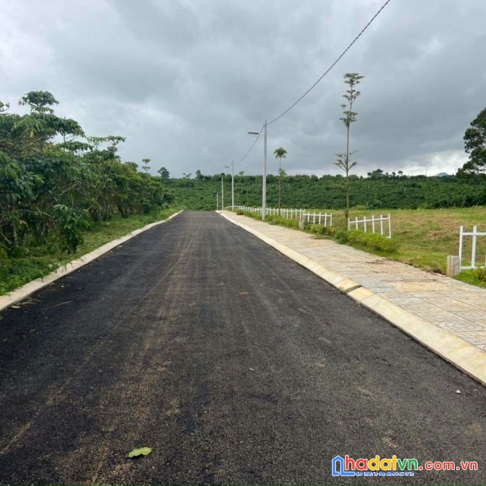 Nhiều người nói em : sao lại bán đất thời điểm này, giờ là lúc người ta mua vào mà!