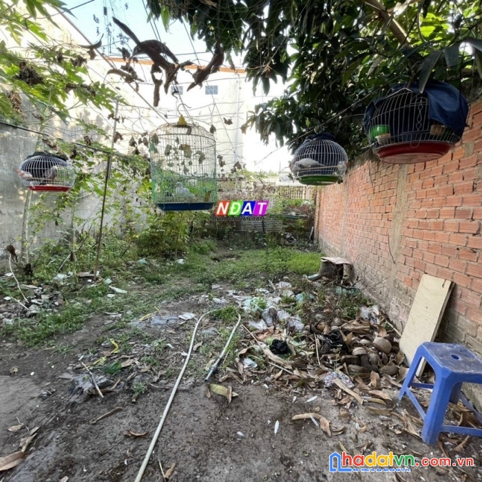 Bán đất phường 6 mỹ tho tiền giang diện tích rộng giá 1.3 tỷ