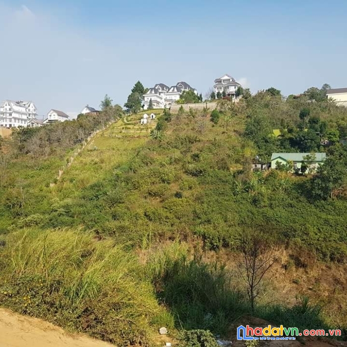Cần tiền bán gấp đất rộng view đẹp thích hợp xây homestay đường khe sanh 650m2 giá chỉ 17.6 tỷ