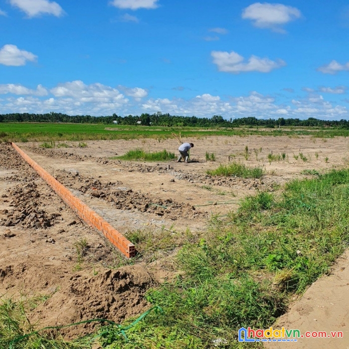 Chính chủ cần tiền bán lô đất thổ cư 338,5m2 xây nhà ở hoặc nhà yến