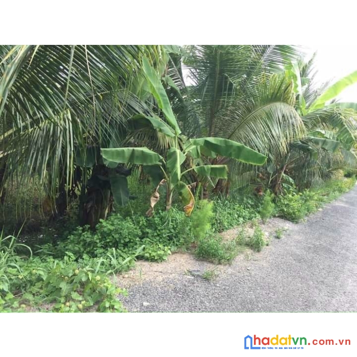 Đất hot - duy nhất sở hữu ngay lô đất mặt tiền đẹp tại vĩnh long