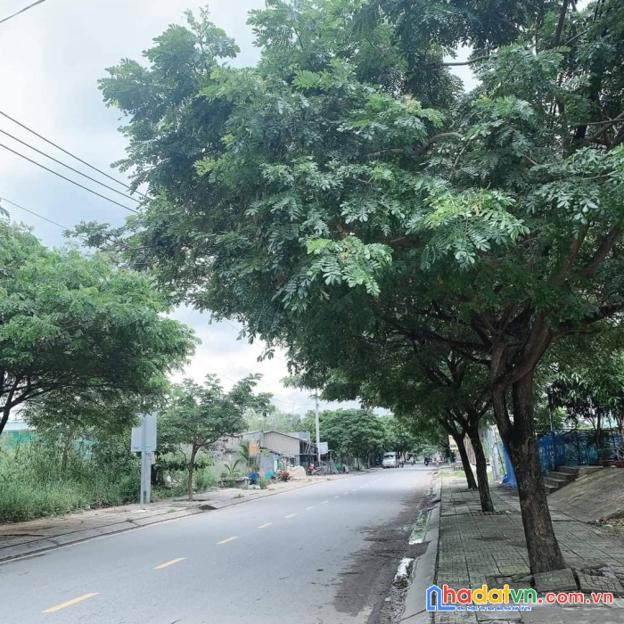 Siêu phẩm! nhà huỳnh tấn phát khu compound jamona city, đào trí, 80m2 chỉ 13 tỷ!
