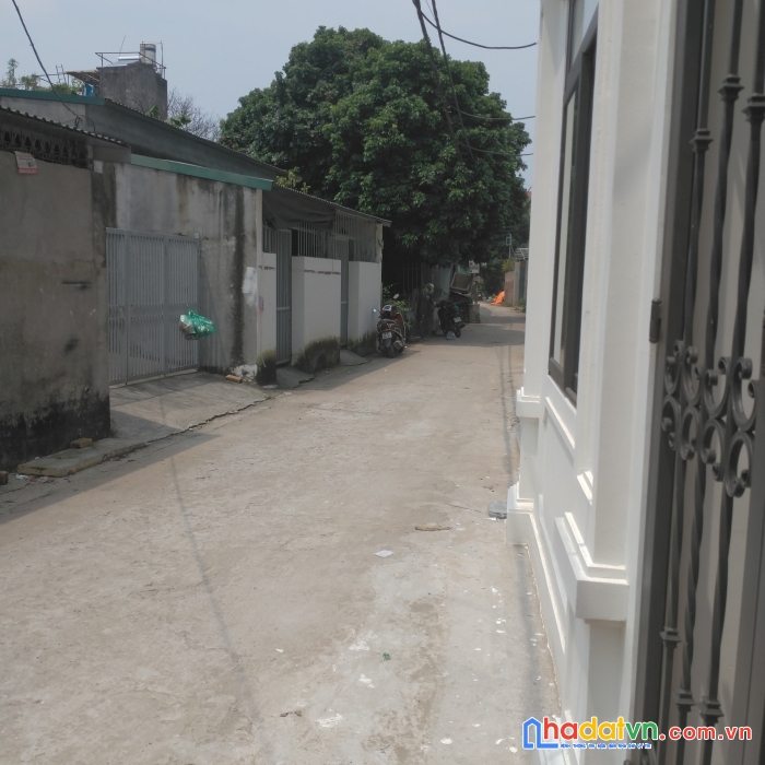 Đất vàng nguyễn lam, ô tô thông bàn cờ, đầu tư sinh lời vô hạn